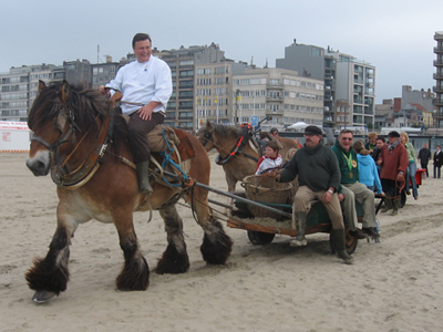 Pictures: Koksijde